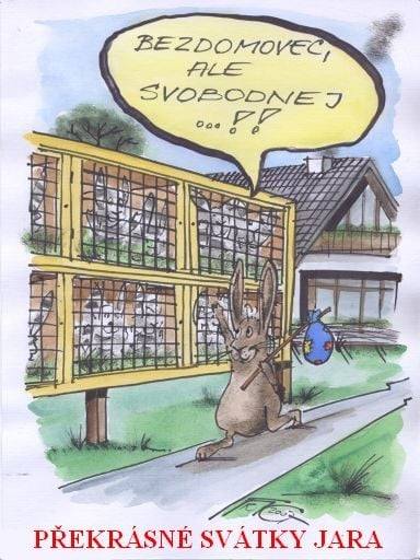 131) Svobodný bezdomovec