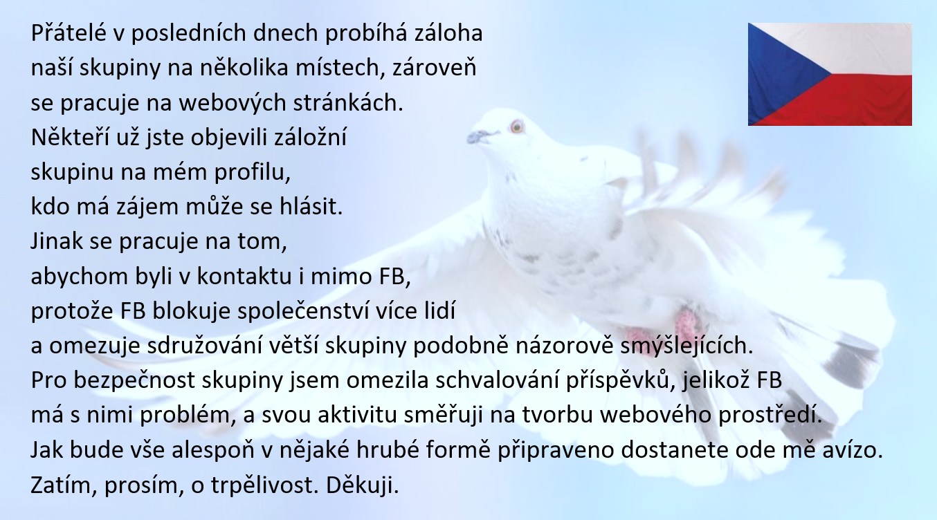 153) Záloha skupiny