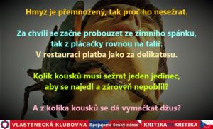 Kolik kousků hmyzu
