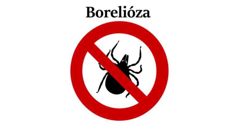 Borelióza