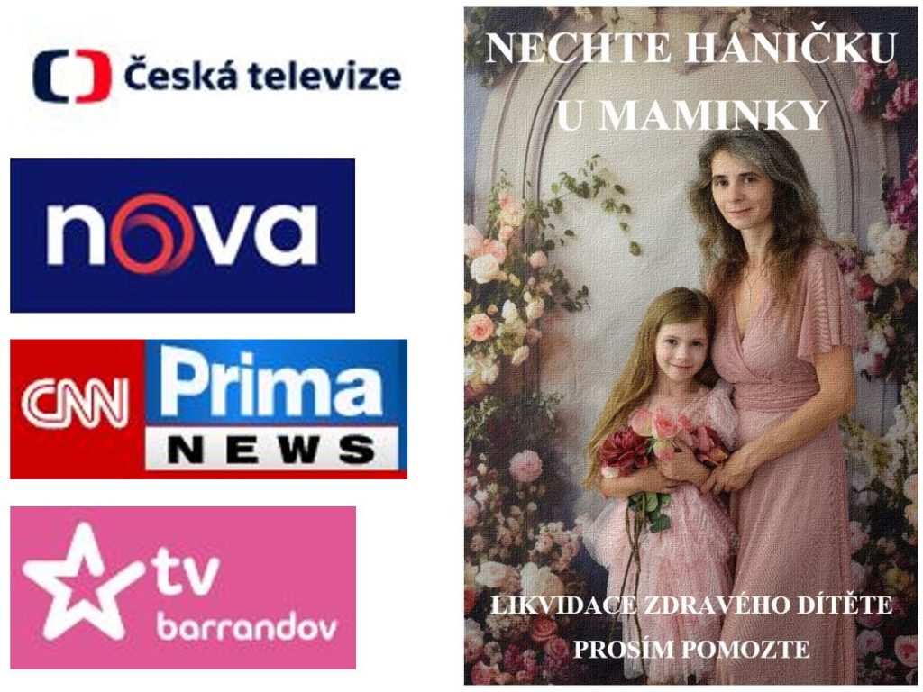 Medializace