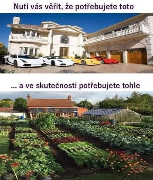 Co já bych dala